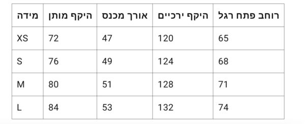 ⁦מכנסיים קצרים של בלנסיאגה⁩ – תמונה ⁦8⁩