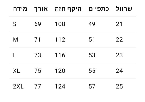 ⁦חולצה של דה נורט פייס⁩ – תמונה ⁦25⁩